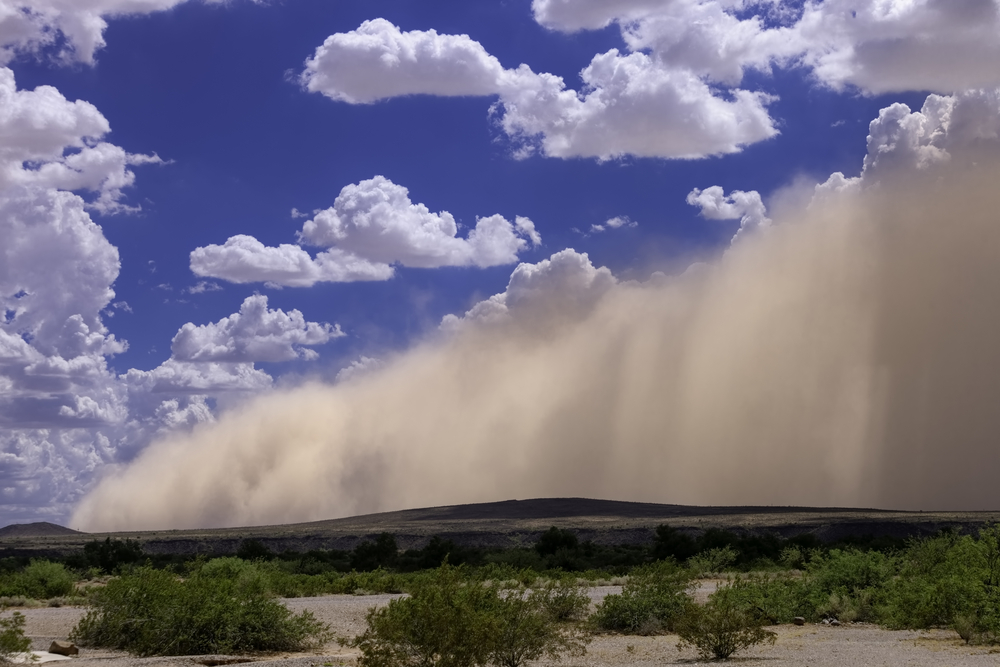 Sandstorm